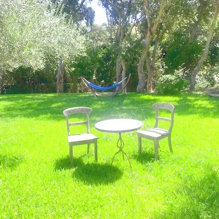 Beautiful Summer Family House